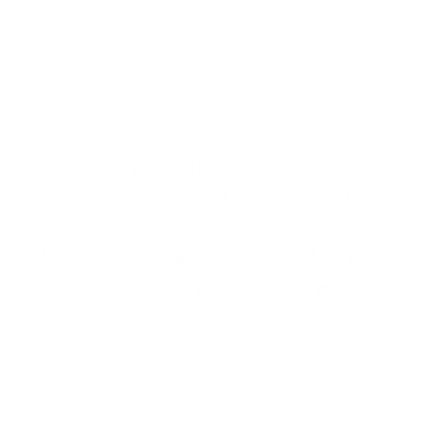 Elite Aces Tennis Club